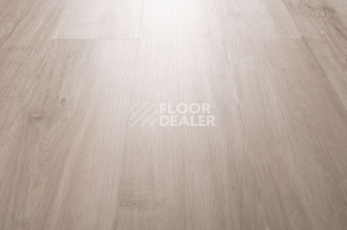 IVC Primero (DryBack) IVC Primero 24137Q фото 5 | FLOORDEALER